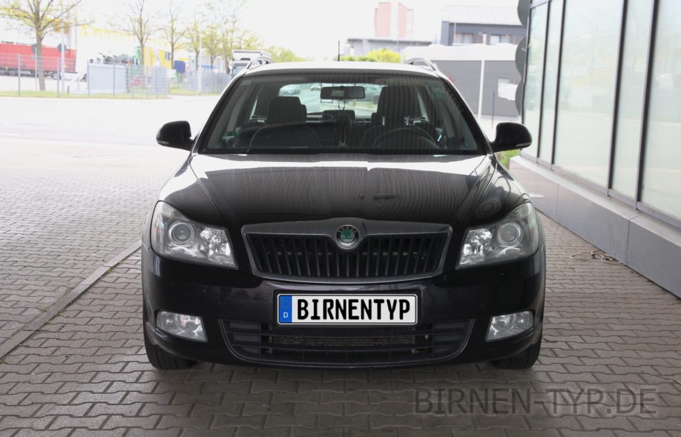 Liste mit allen Birnen für den Škoda Octavia 2 Gen Typ 1Z5 vor UND