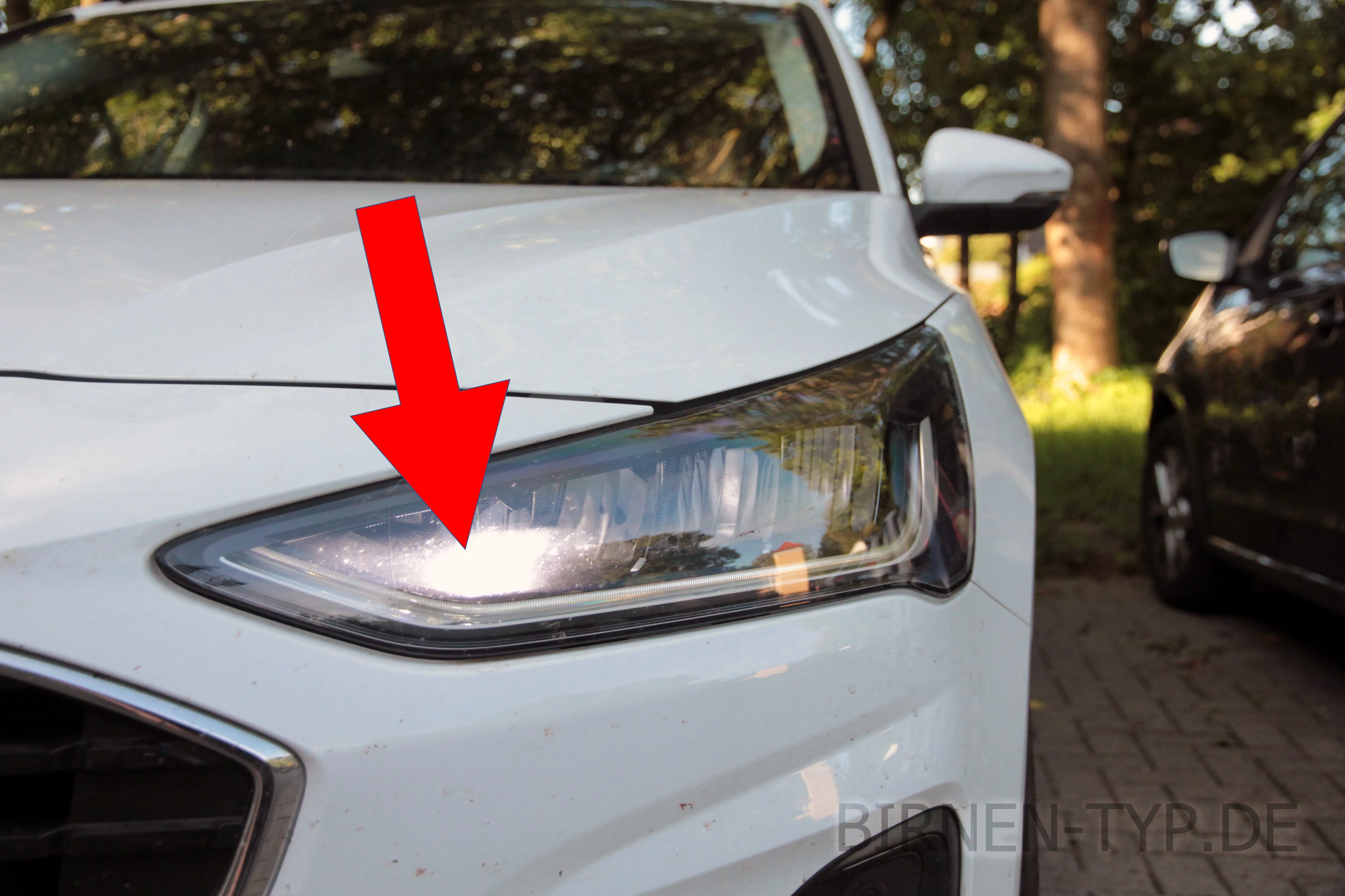 Nebelscheinwerfer des Ford Focus MK4