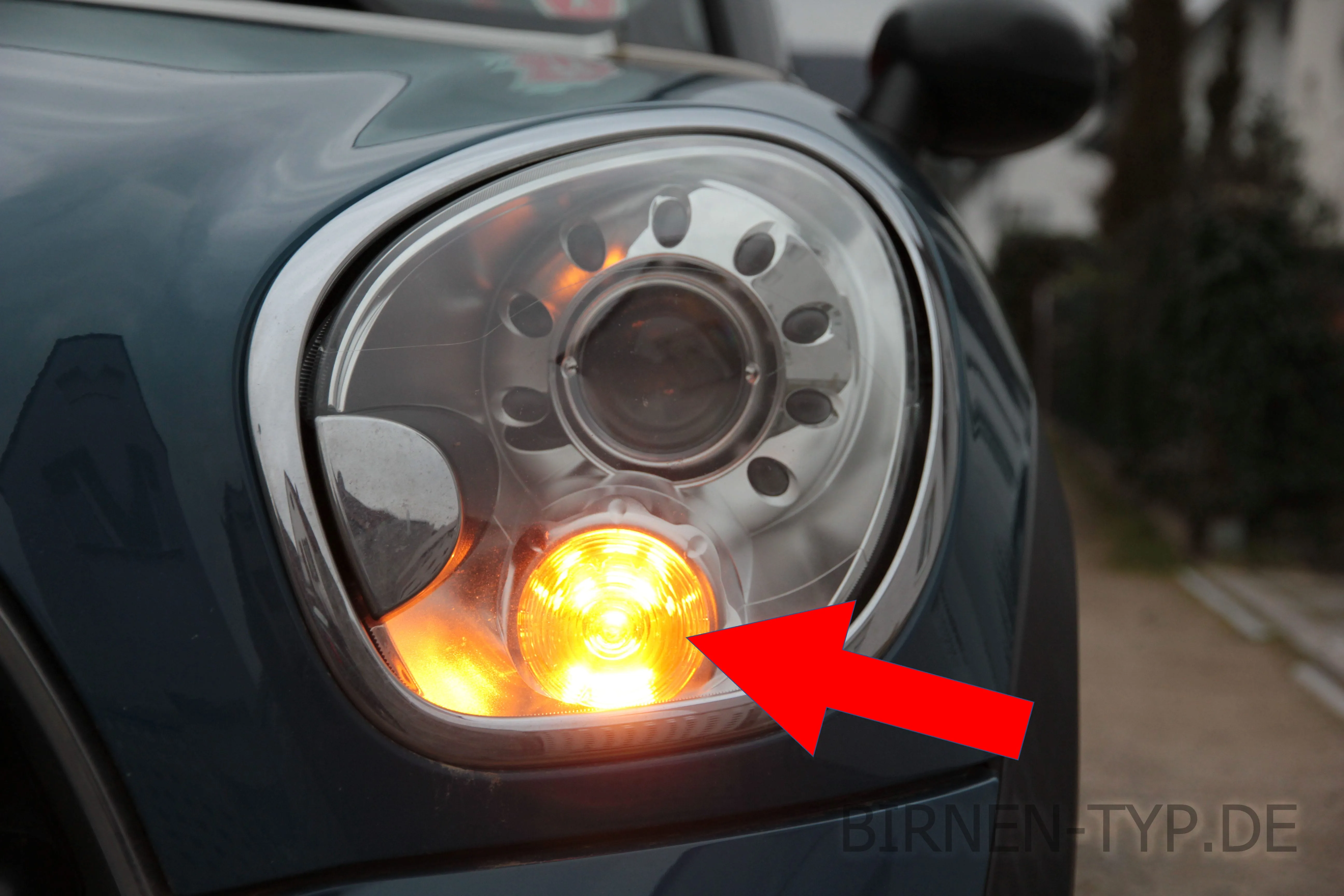 Blinker vorne des MINI Countryman