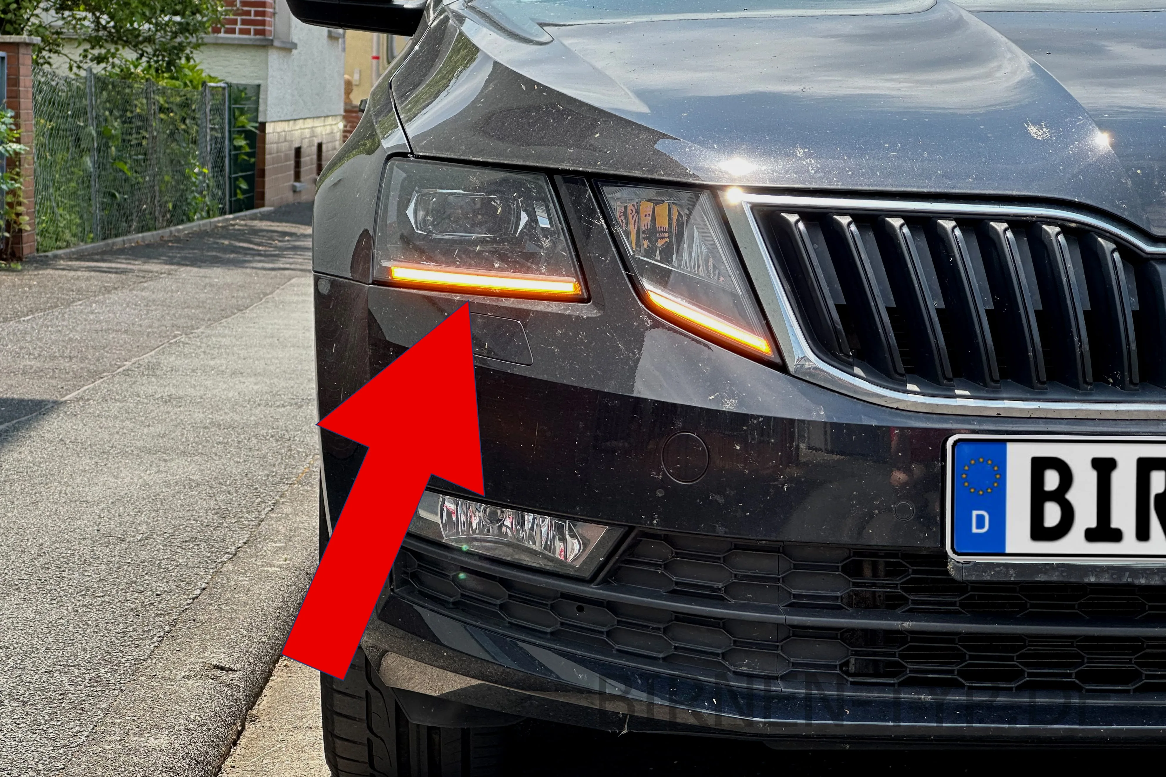 Blinker vorne des Škoda Octavia