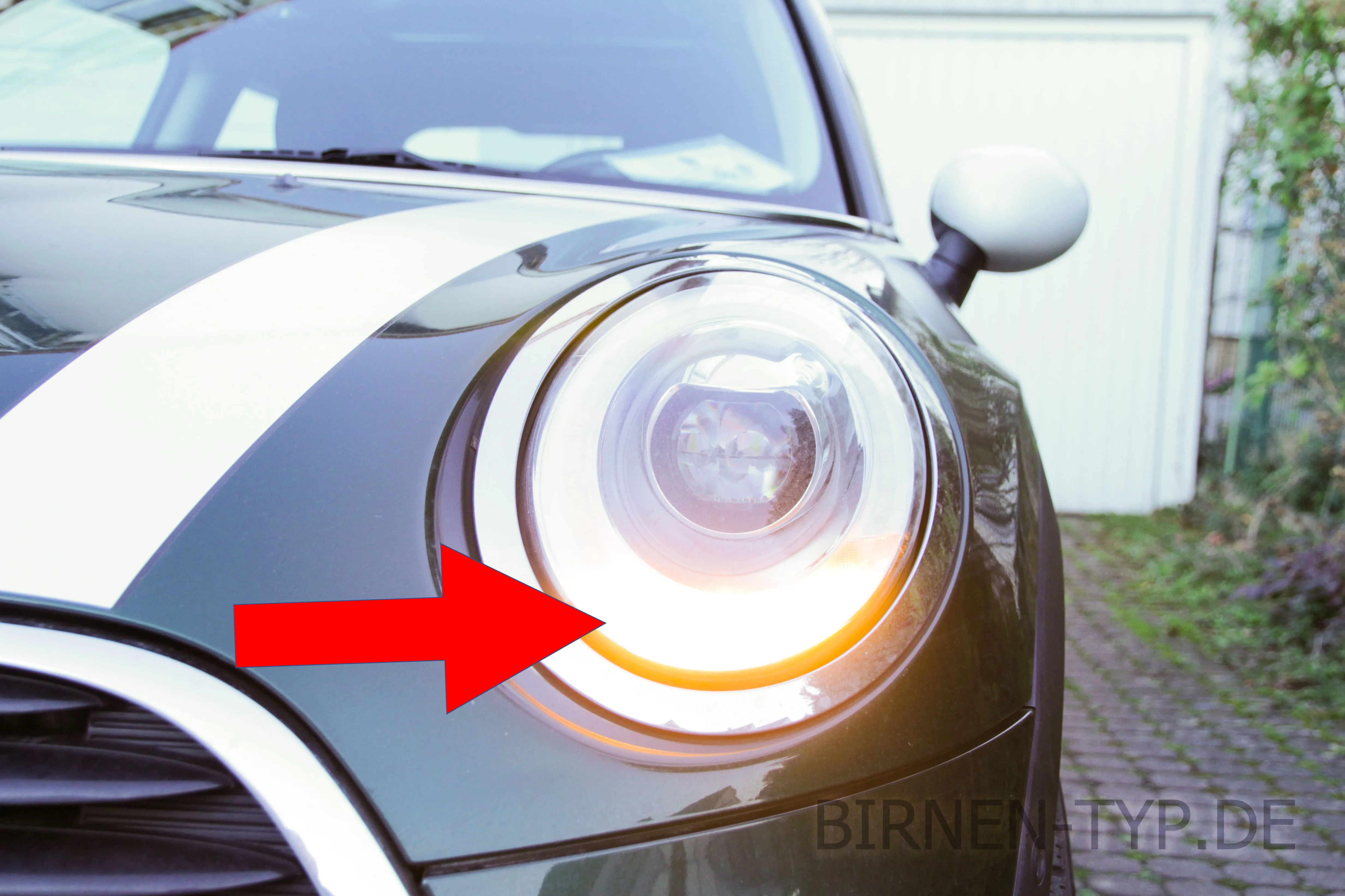 Blinker vorne des MINI