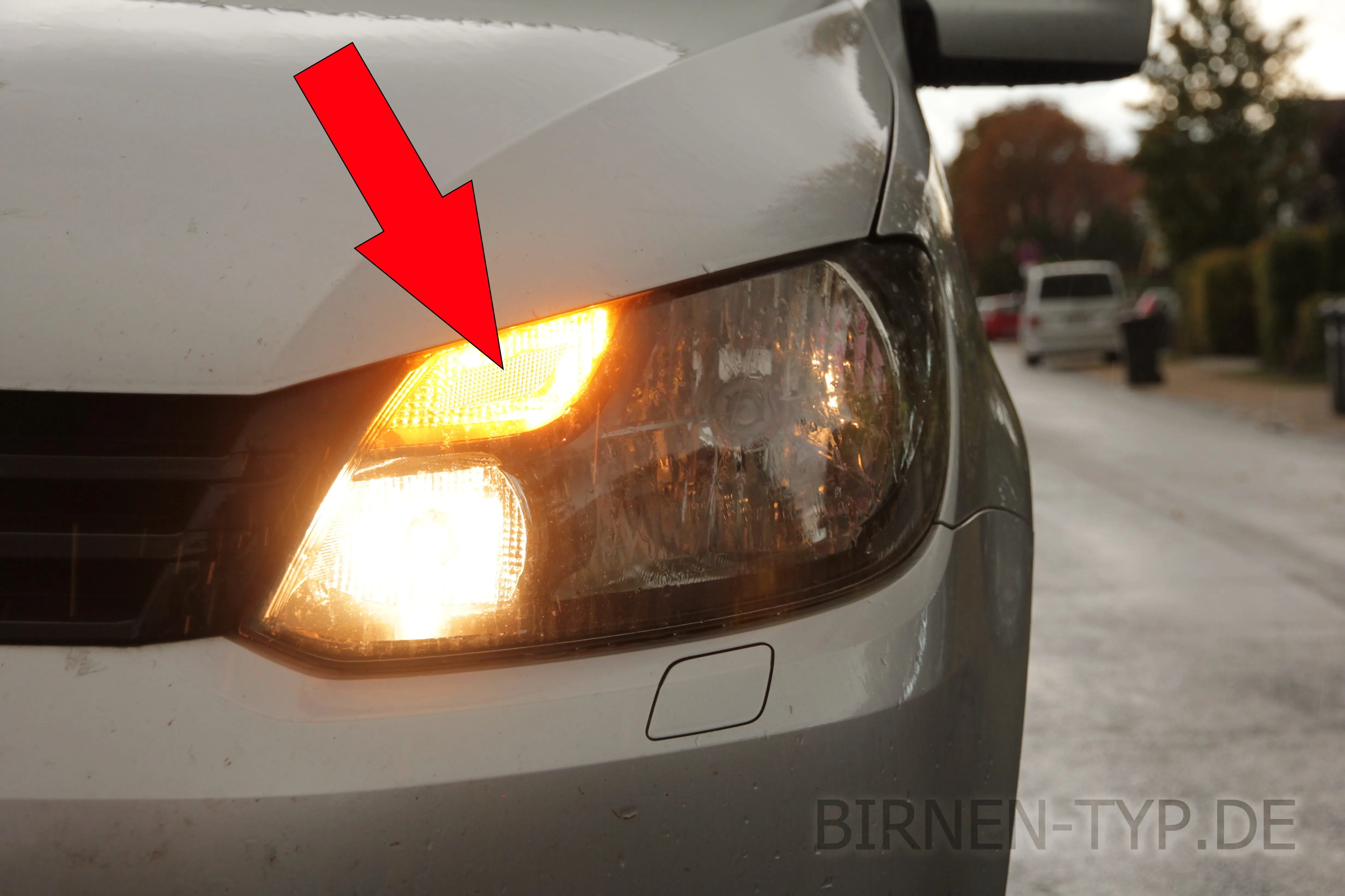 Blinker vorne des VW Caddy 3