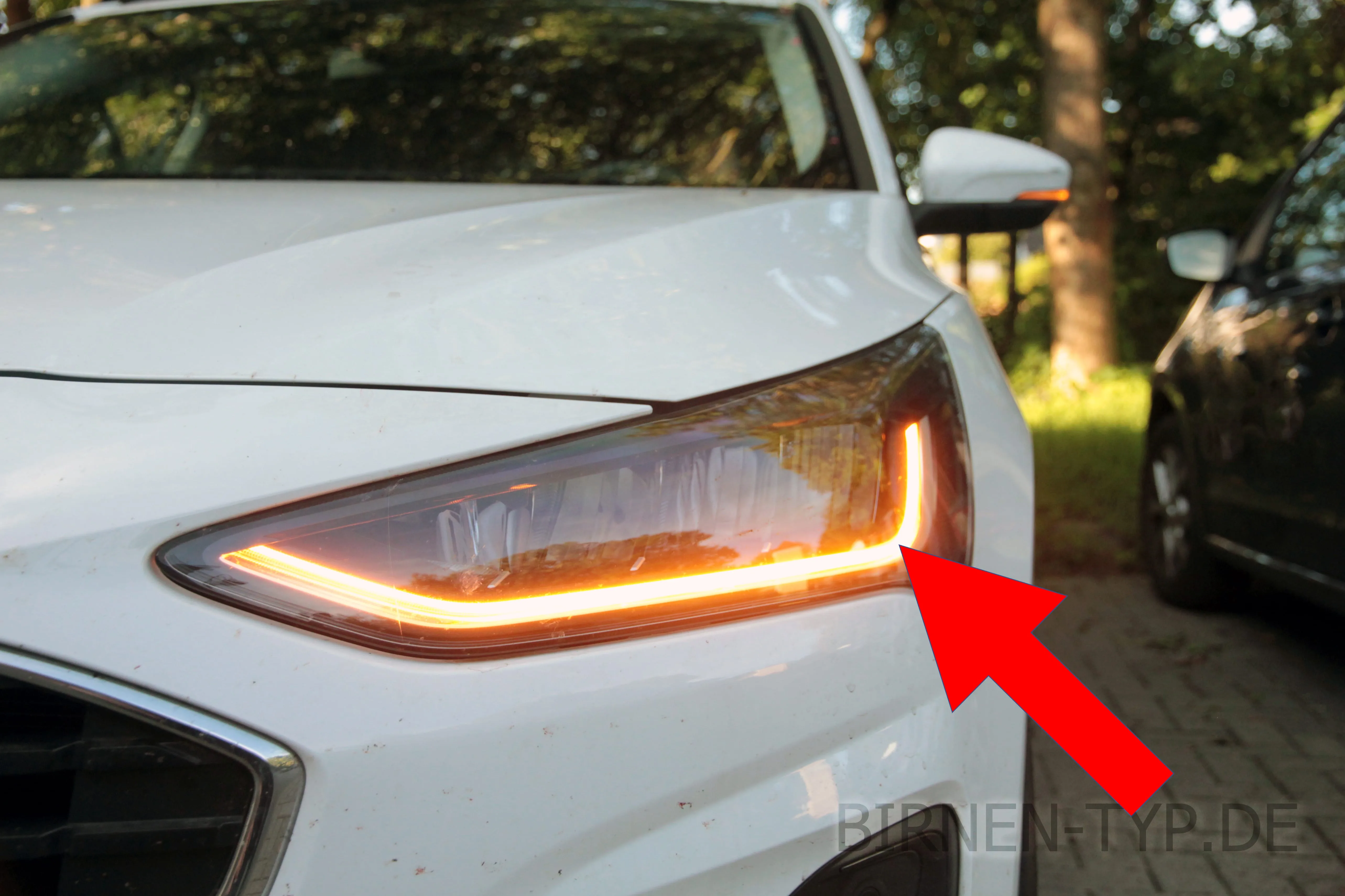 Blinker vorne des Ford Focus MK4