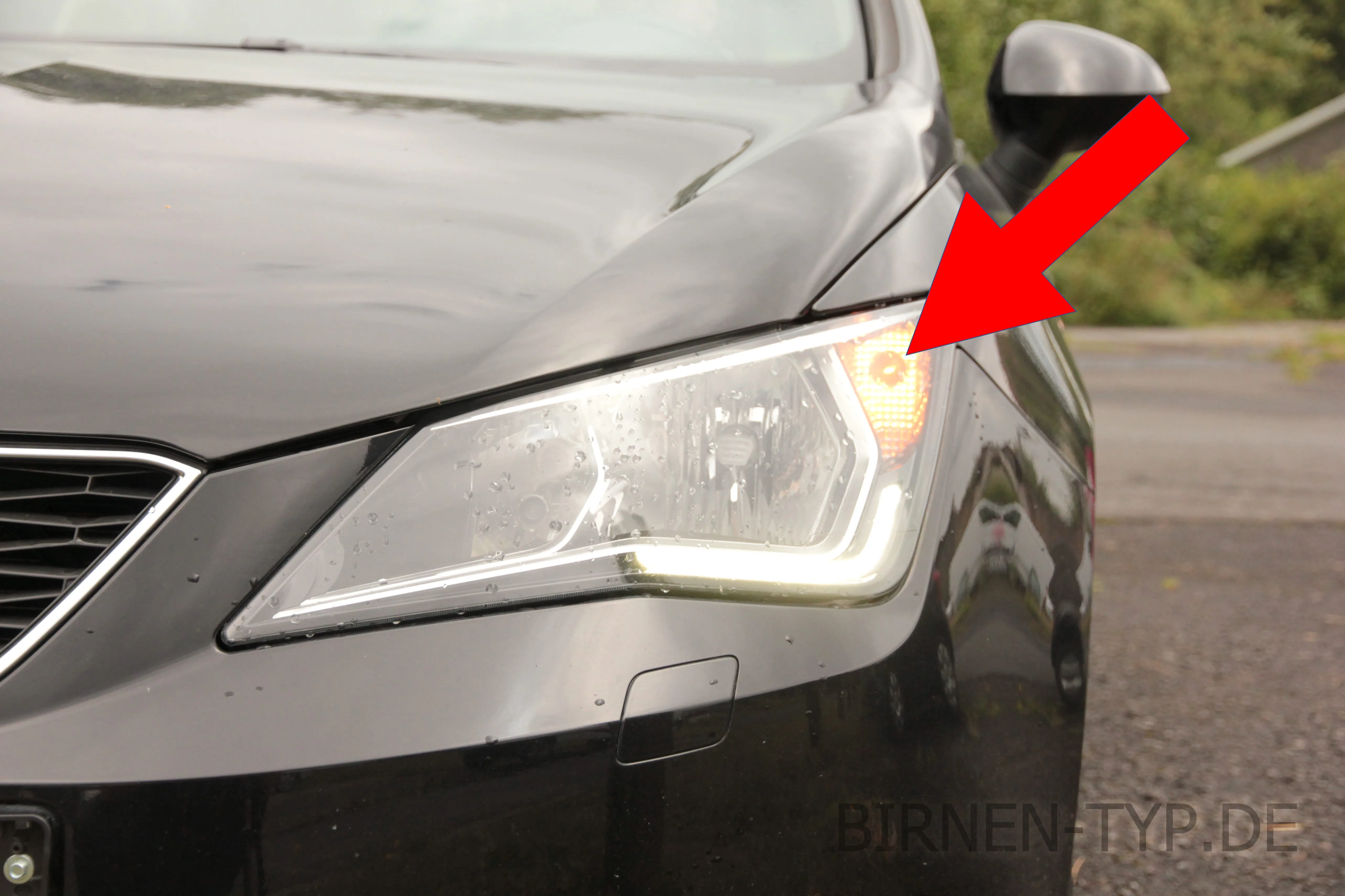 Blinker vorne des Seat Ibiza