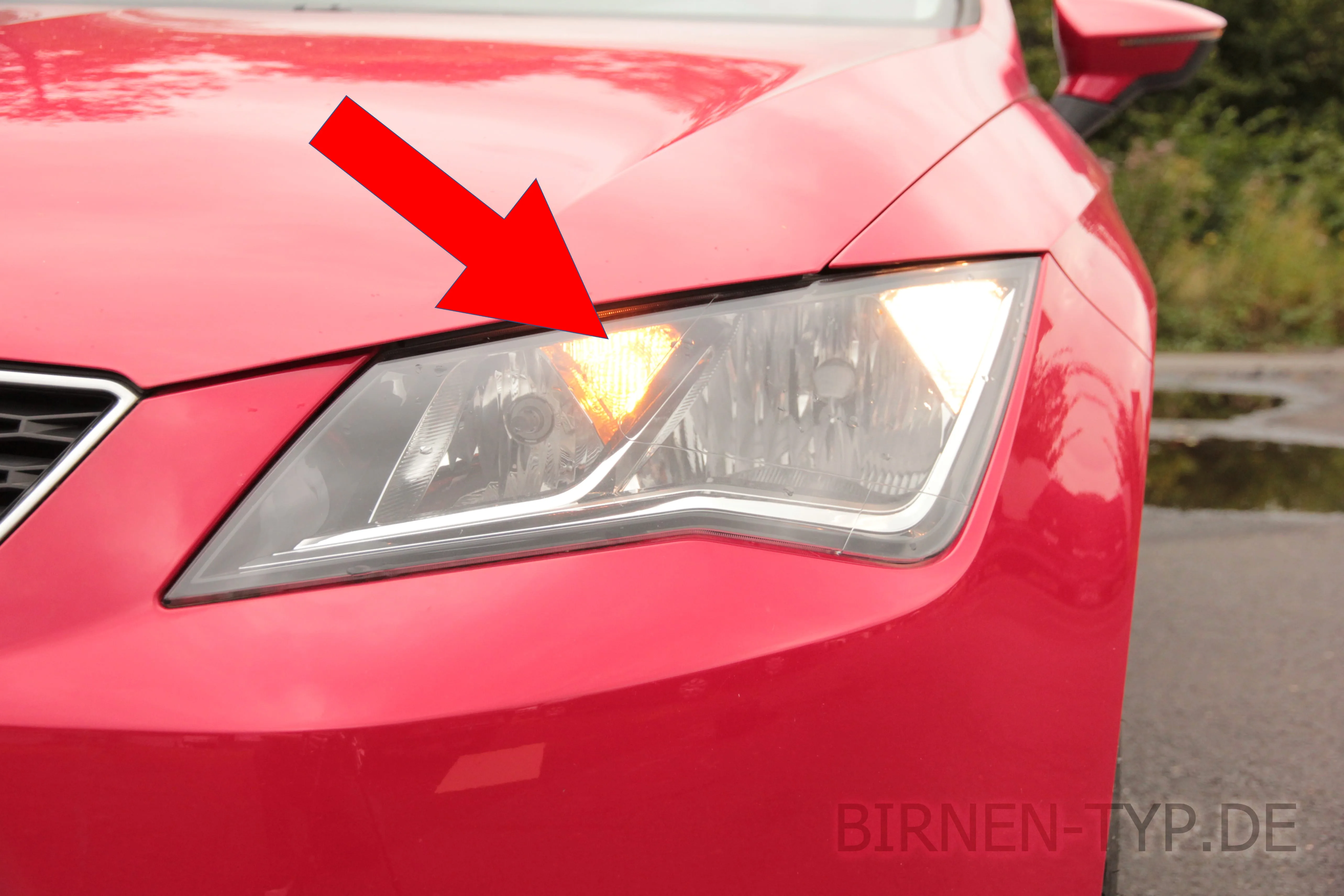 Blinker vorne des Seat Leon