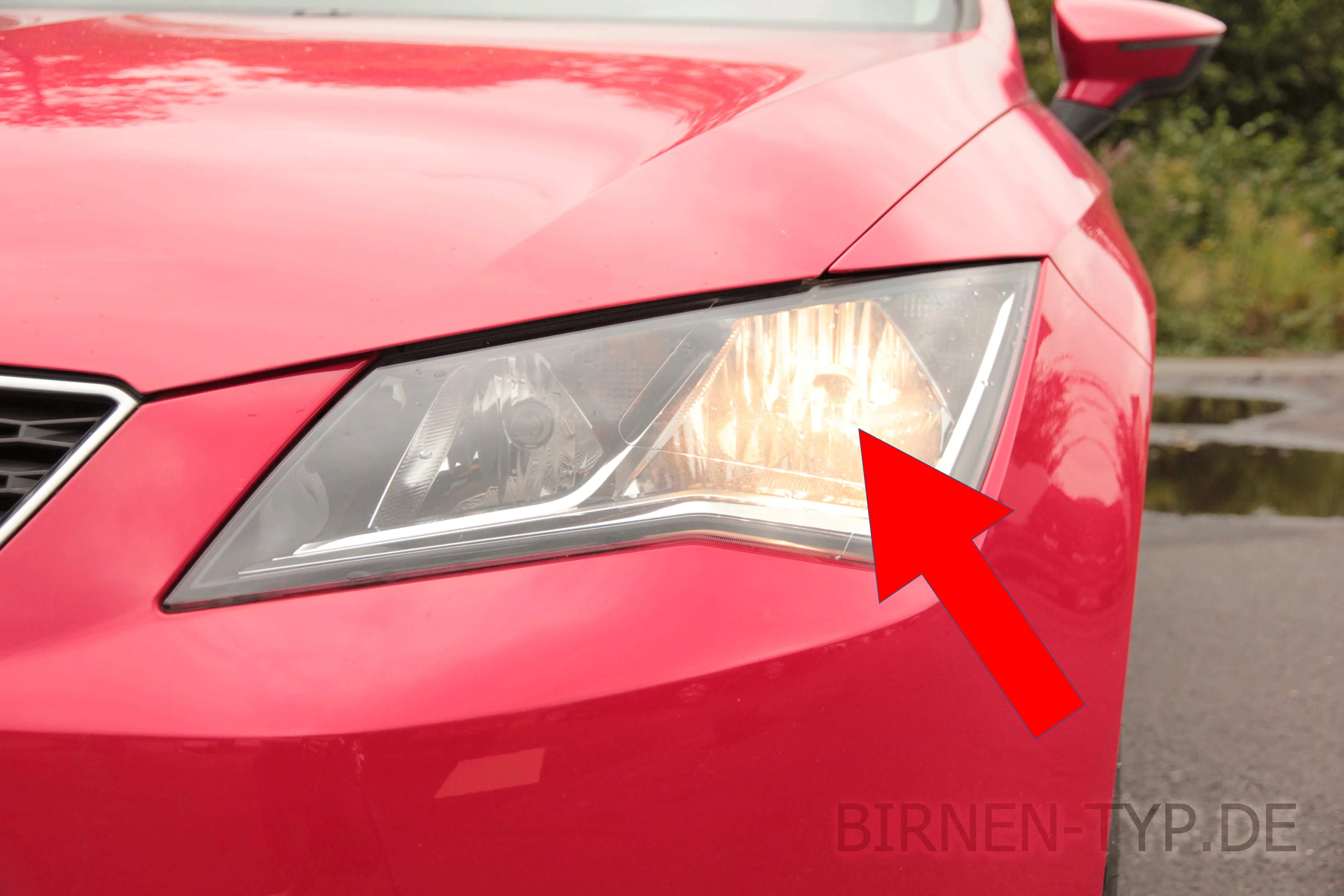 Abblendlicht des Seat Leon