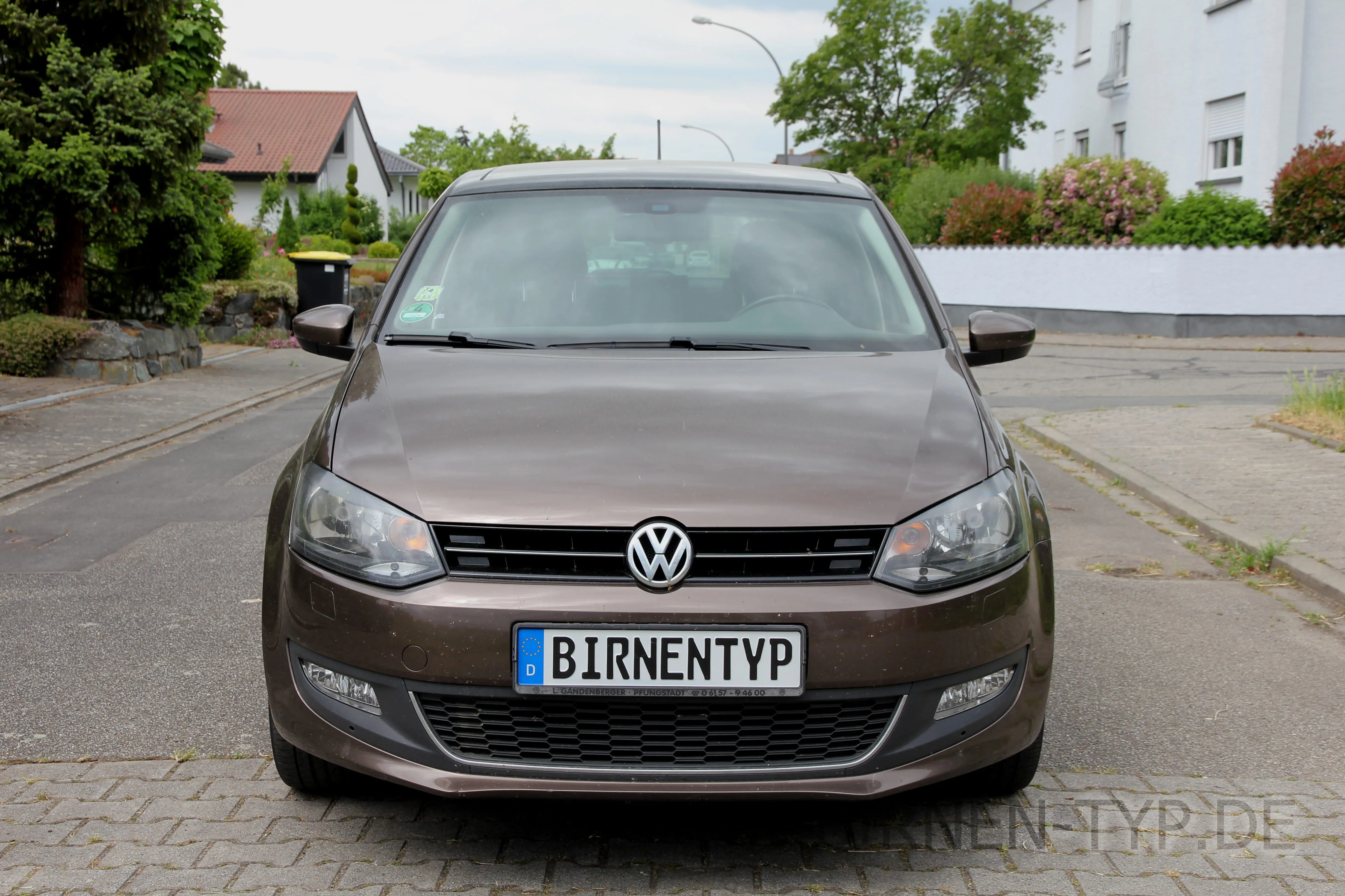 Polo 5