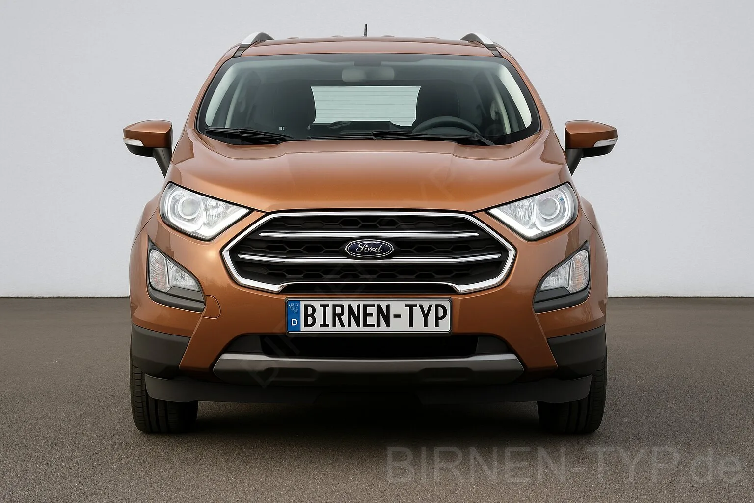 EcoSport 2
