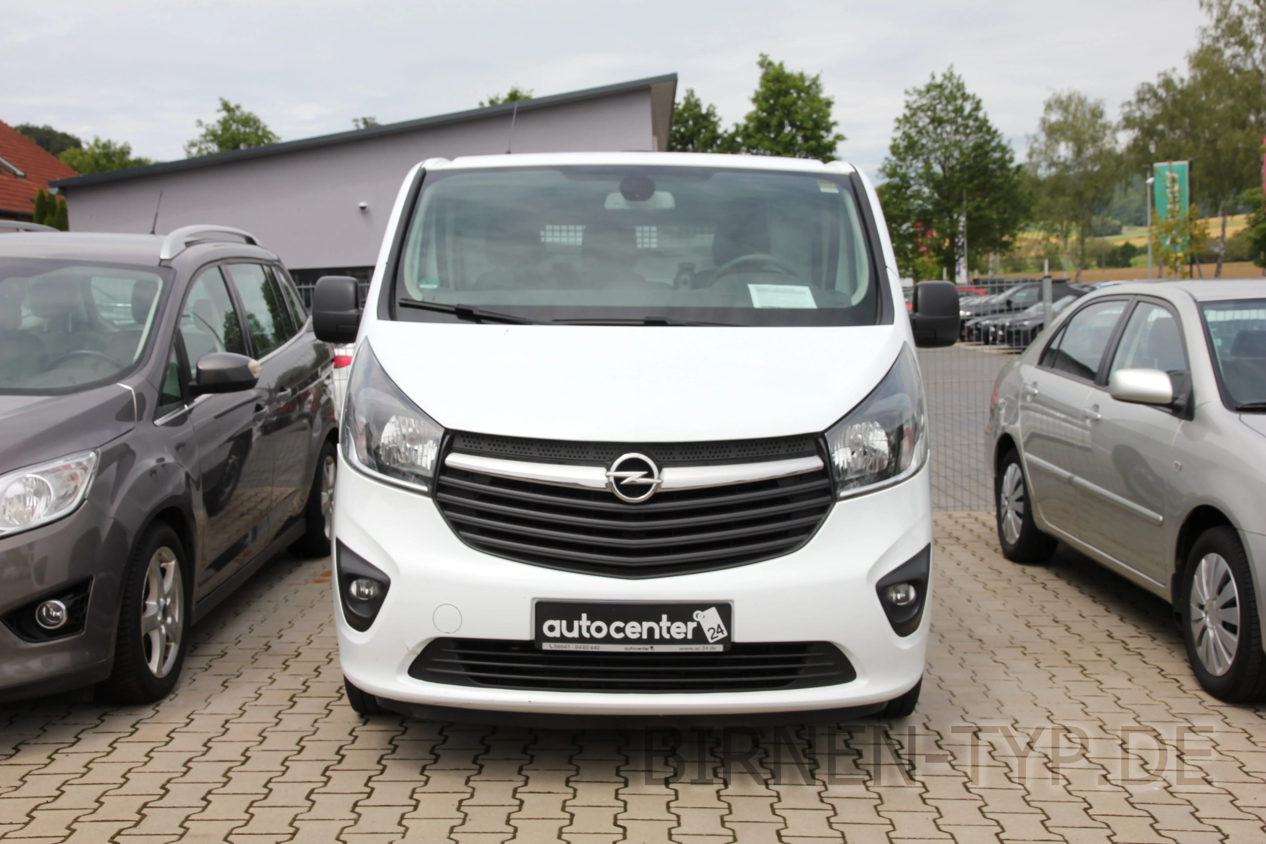 Vivaro B