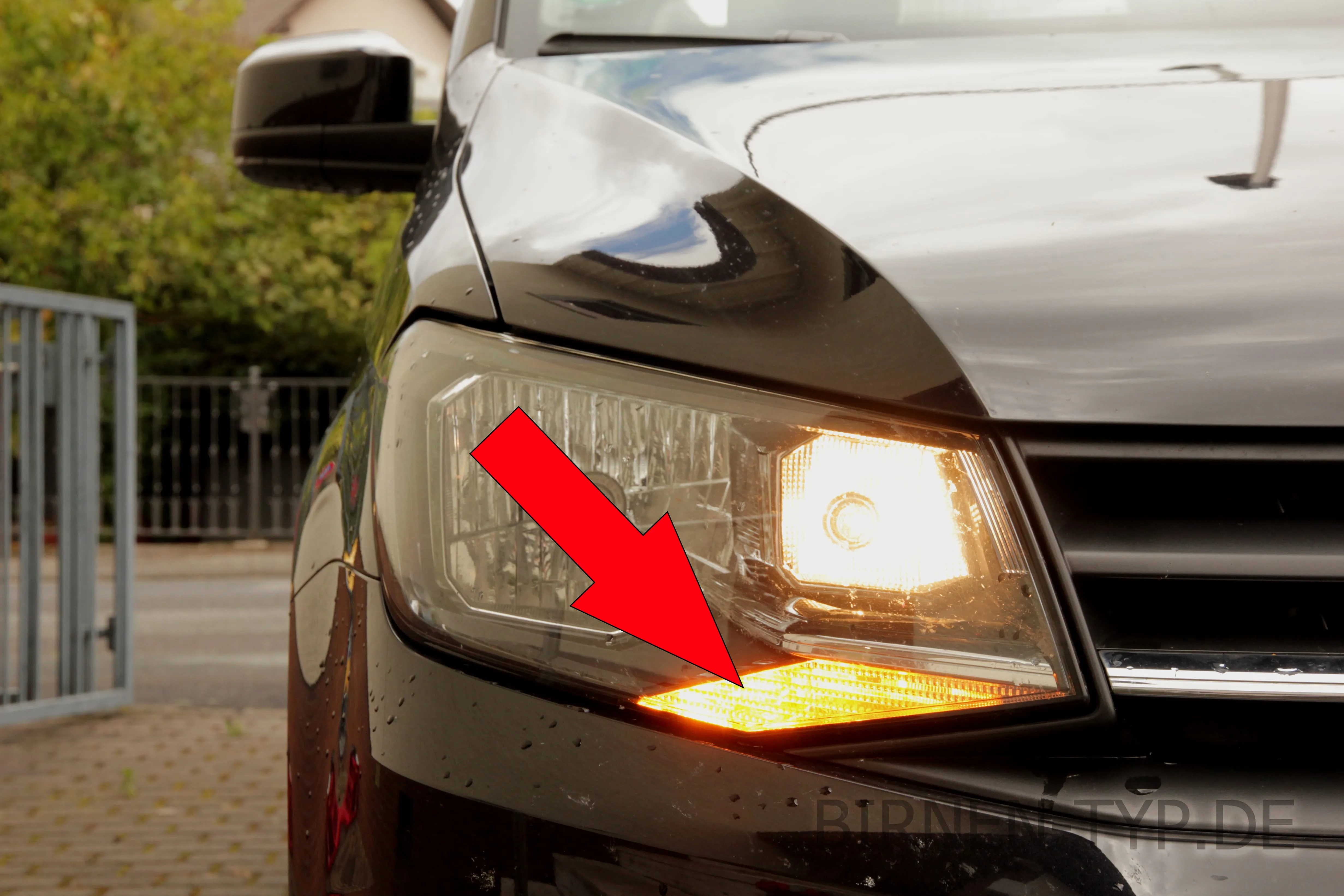 Blinker vorne des VW Caddy 4