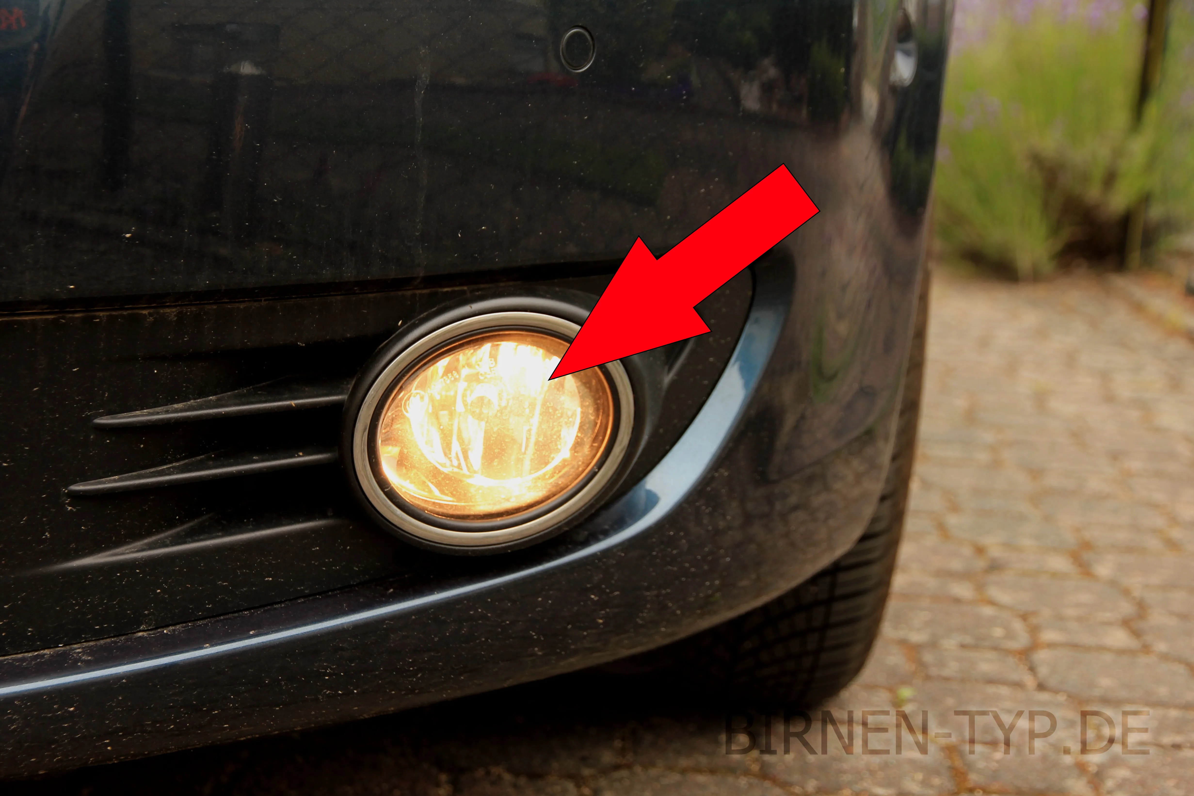 Nebelscheinwerfer des VW Golf 6 Plus