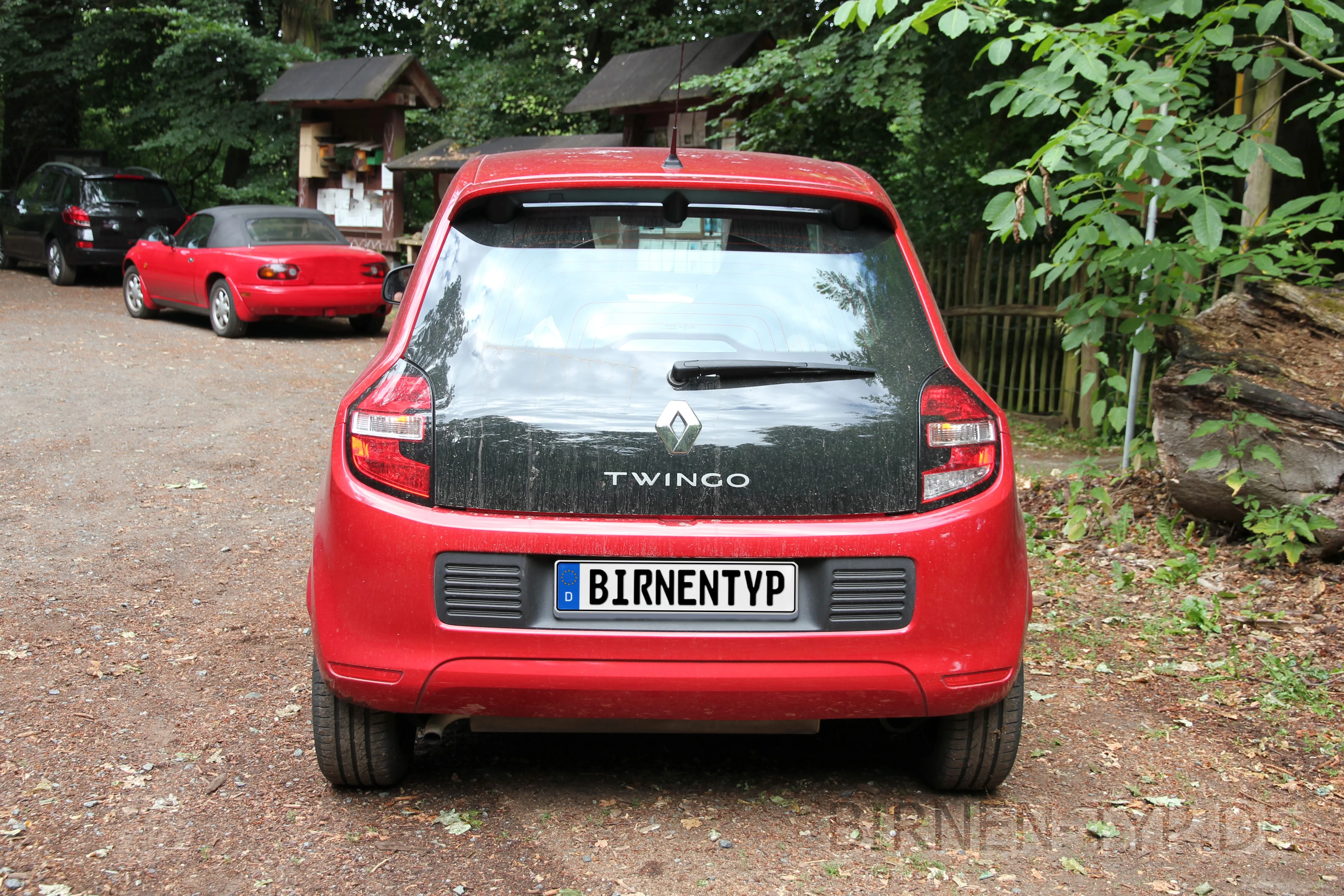 Heck-Ansicht des Renault Twingo