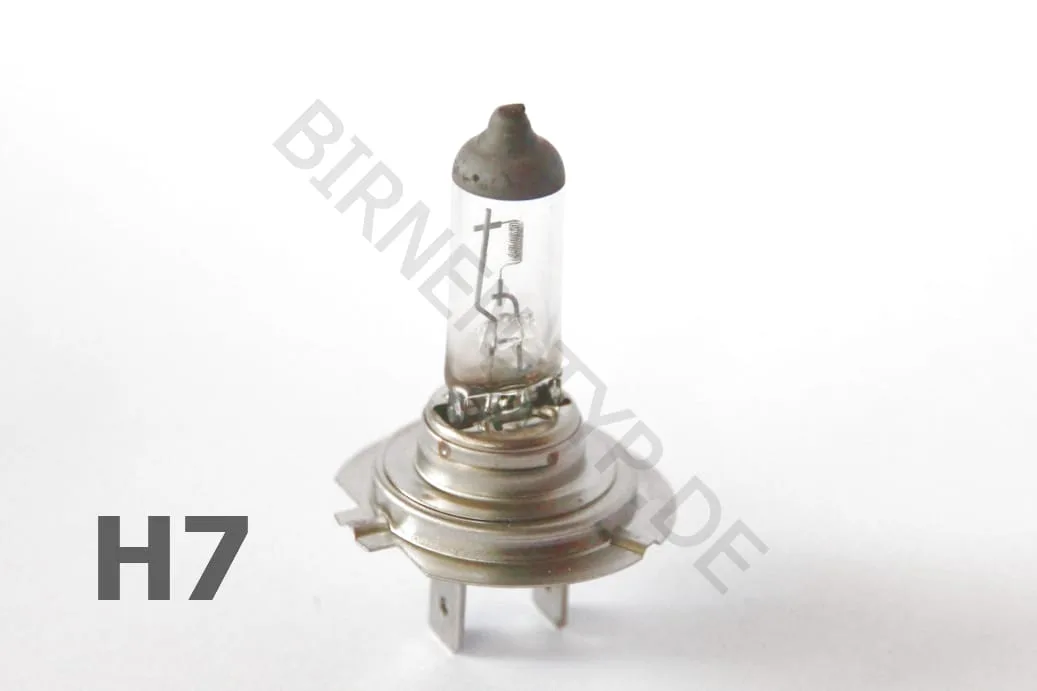 IMG_9686 Birne KFZ PKW Auto Lampe Leuchte Leuchtmittel birnen-typ.de H7