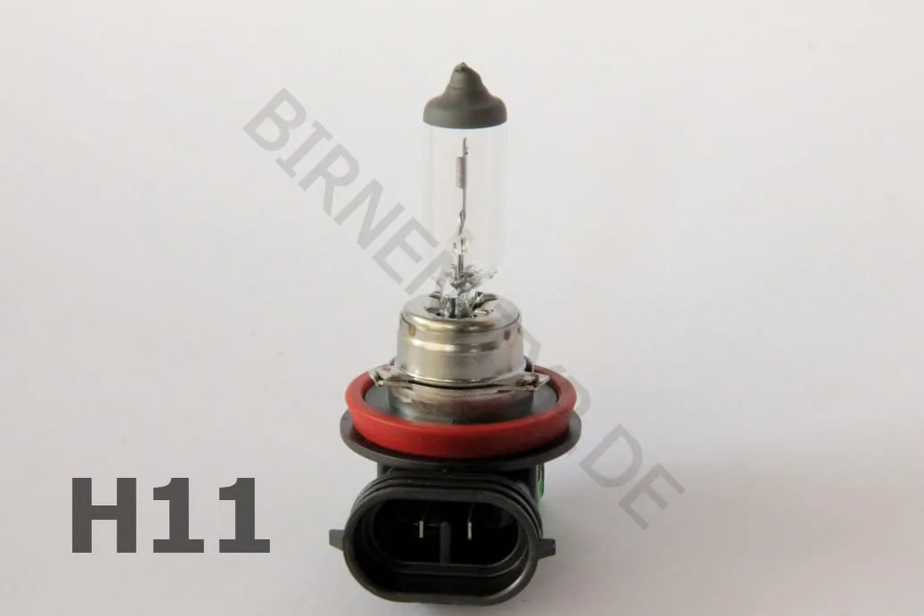 Stecker der H11-Glühbirne