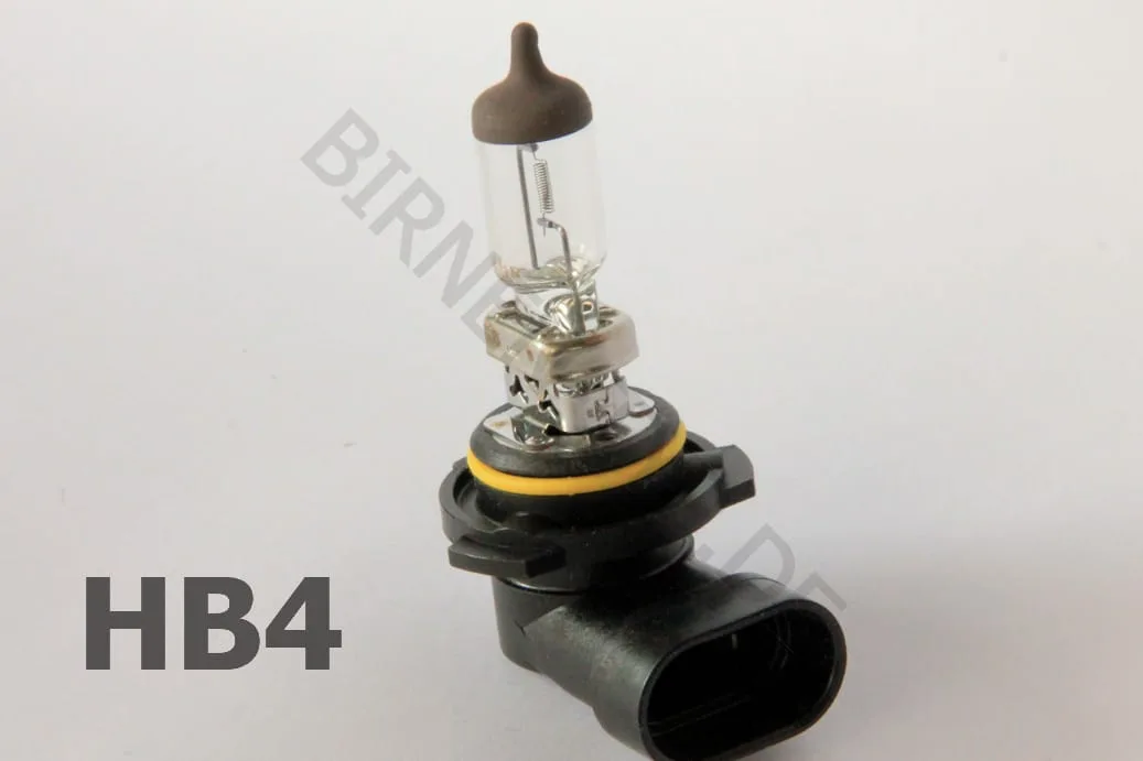 Typische HB3-Birne mit Sockel P20d