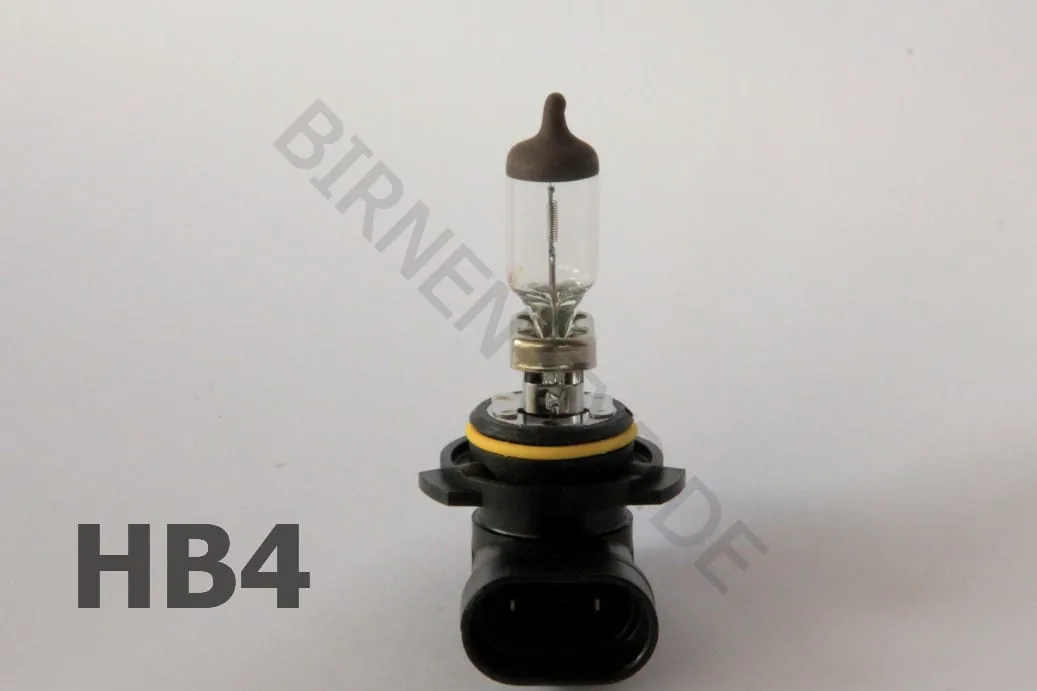 Typische HB4-Birne mit Sockel P22d