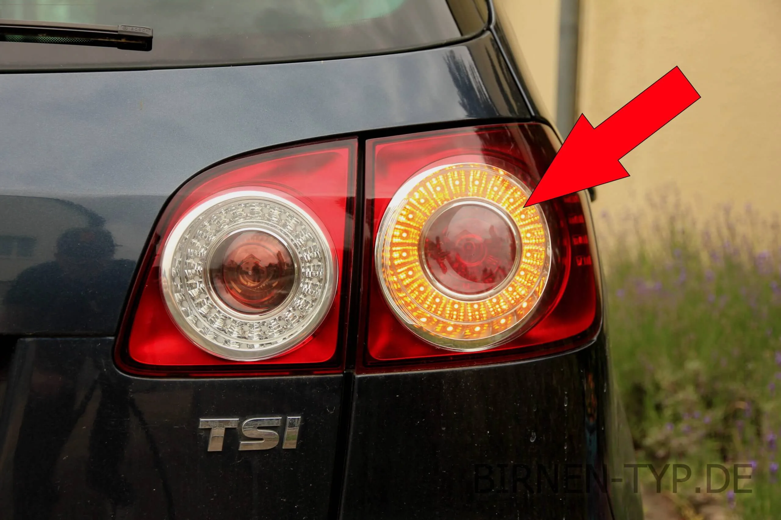 Blinker hinten des VW Golf 6 Plus