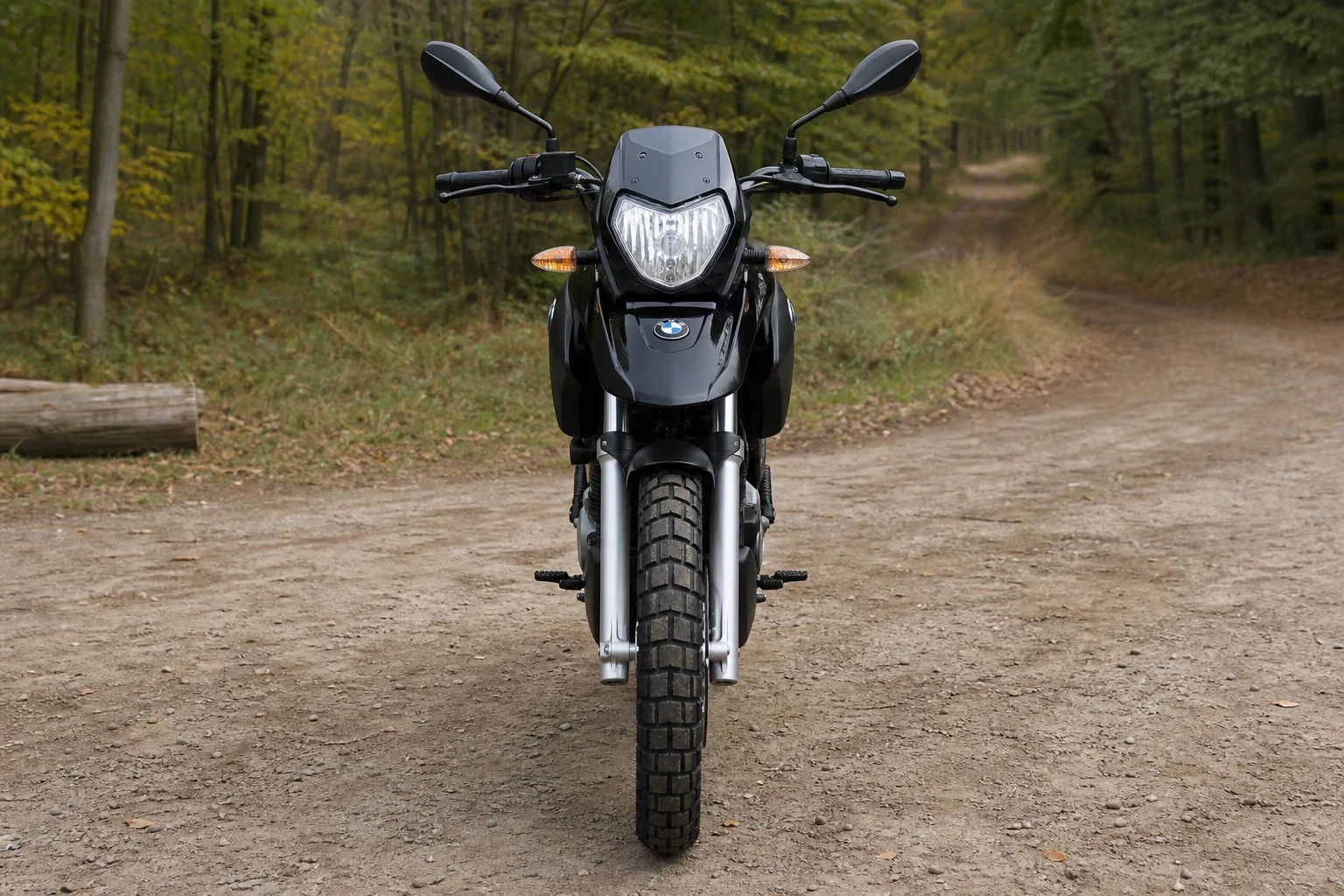 G 650 (& GS) Enduro (mit KI erzeugt)