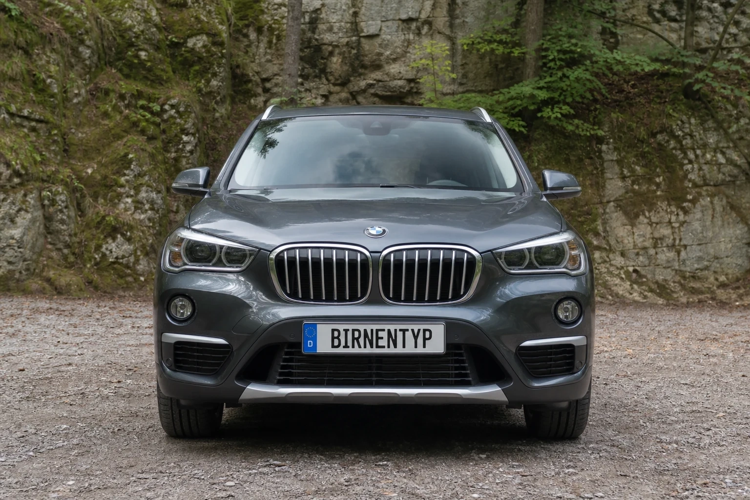 X1 2 (mit KI erzeugt)