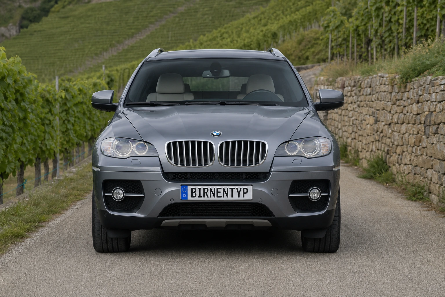X6 1 (mit KI erzeugt)