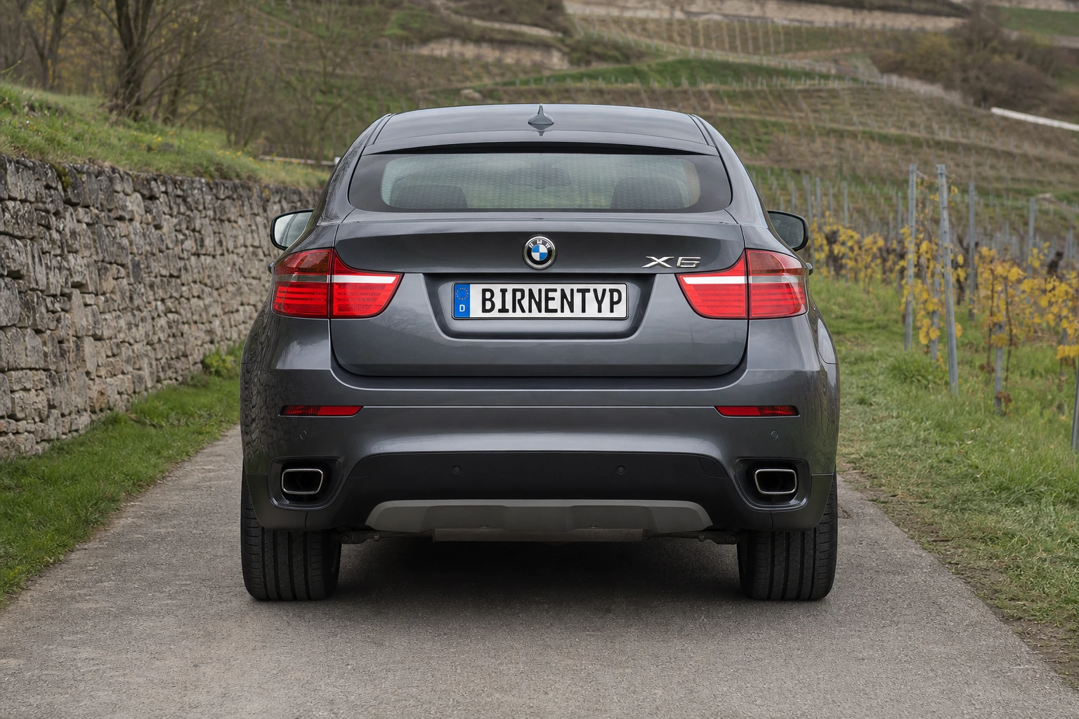 Heck-Ansicht des BMW X6 1 (mit KI erzeugt)
