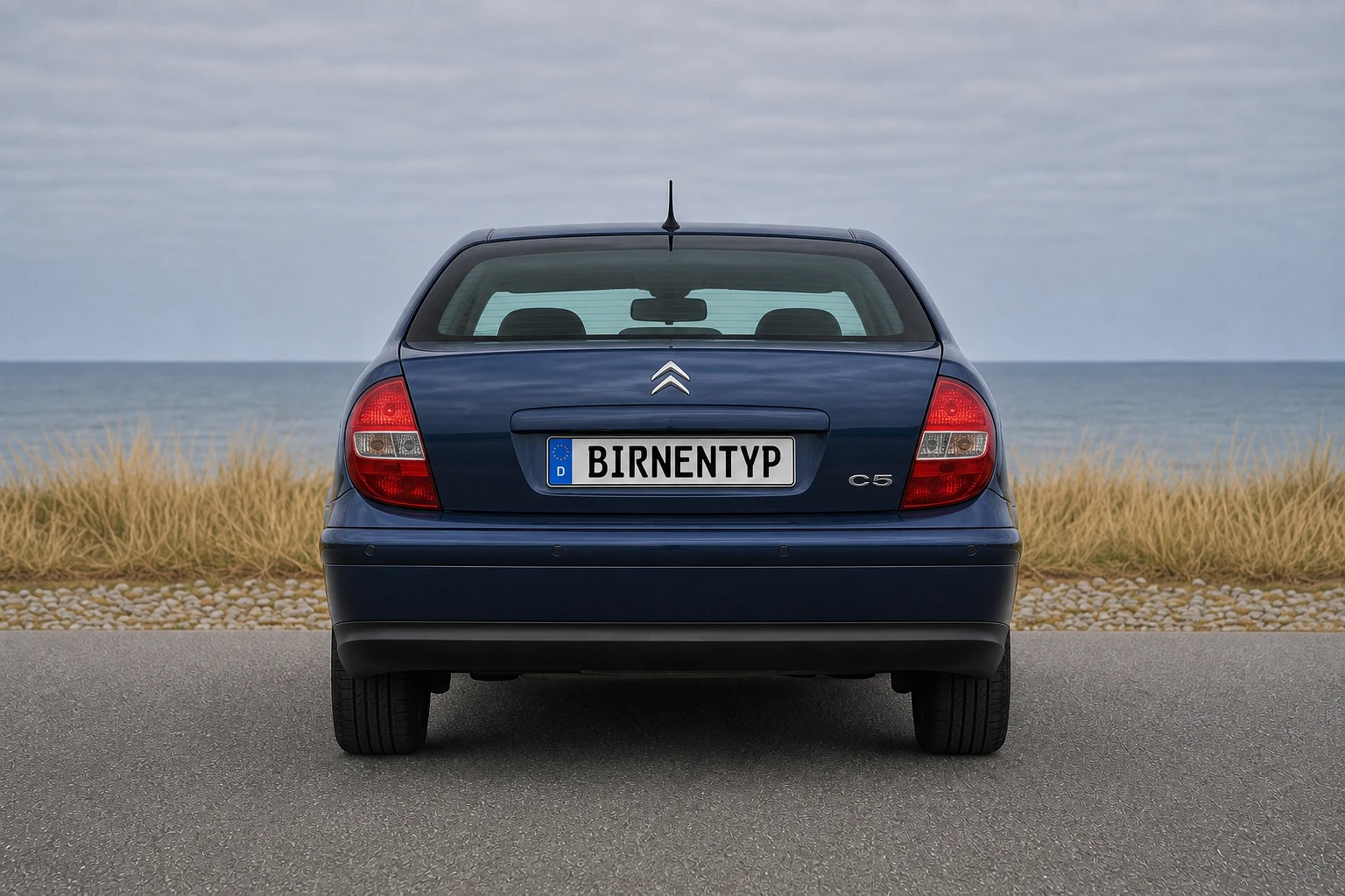 Heck-Ansicht des Citroën C5 1 (mit KI erzeugt)