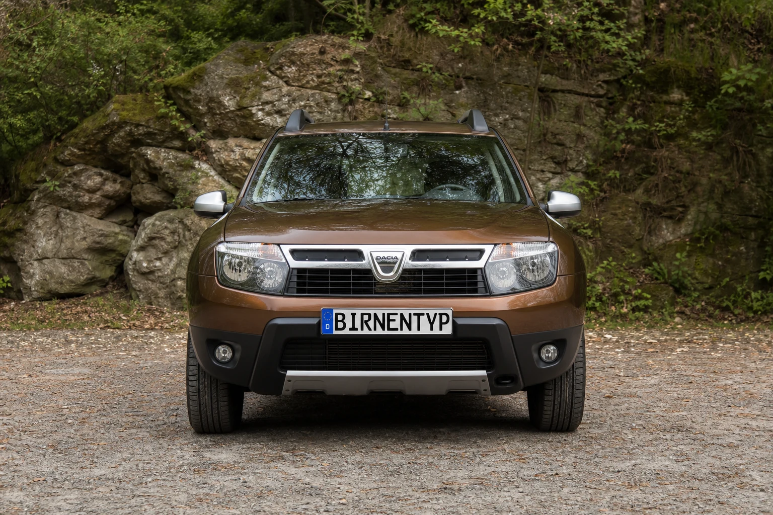 Duster 1