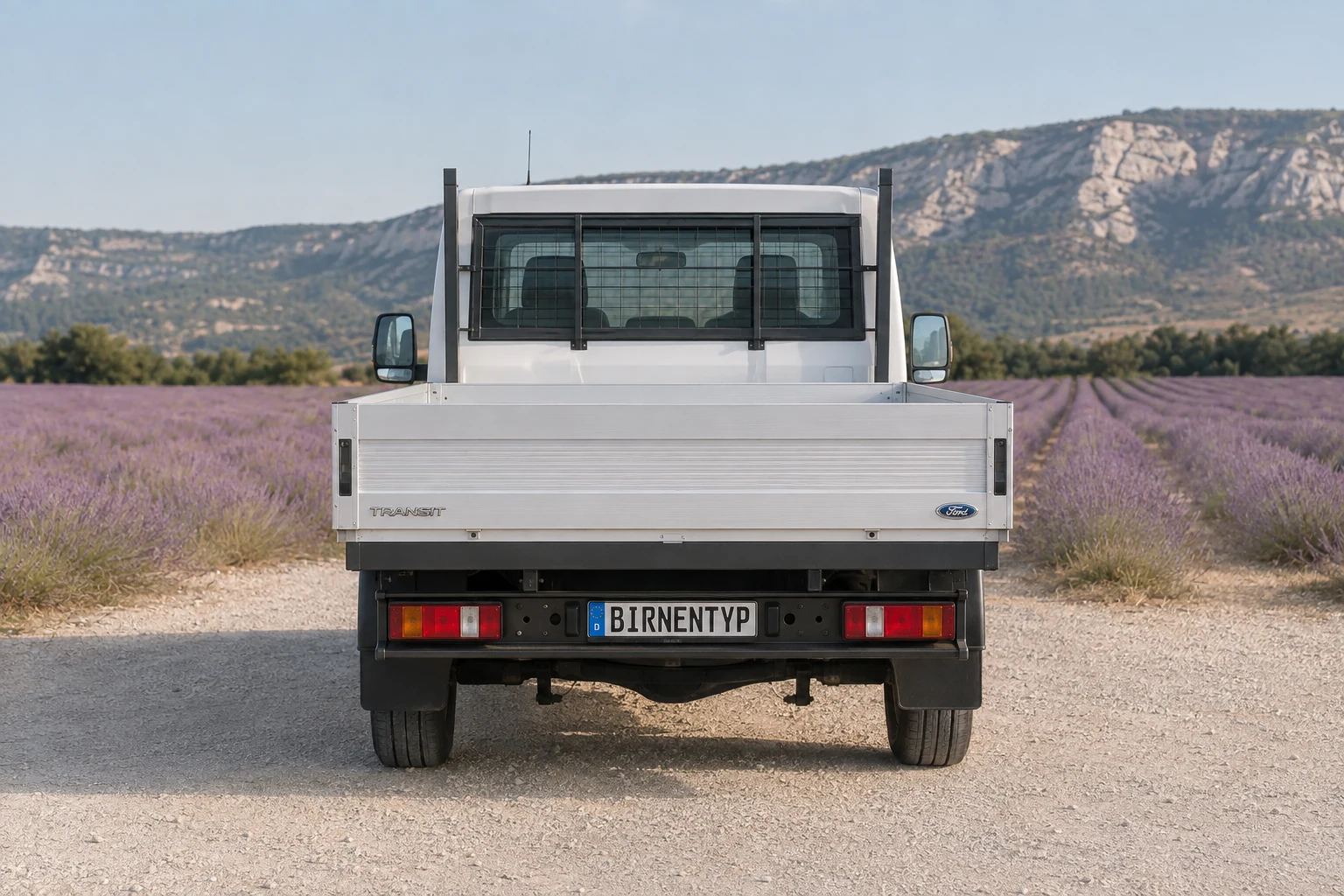 Heck-Ansicht des Ford Transit 6. Gen (Pritsche / Fahrgestell) (mit KI erzeugt)
