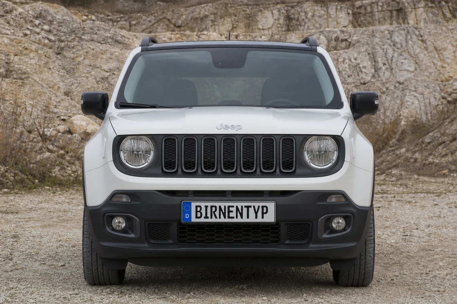 Renegade 1 (mit KI erzeugt)