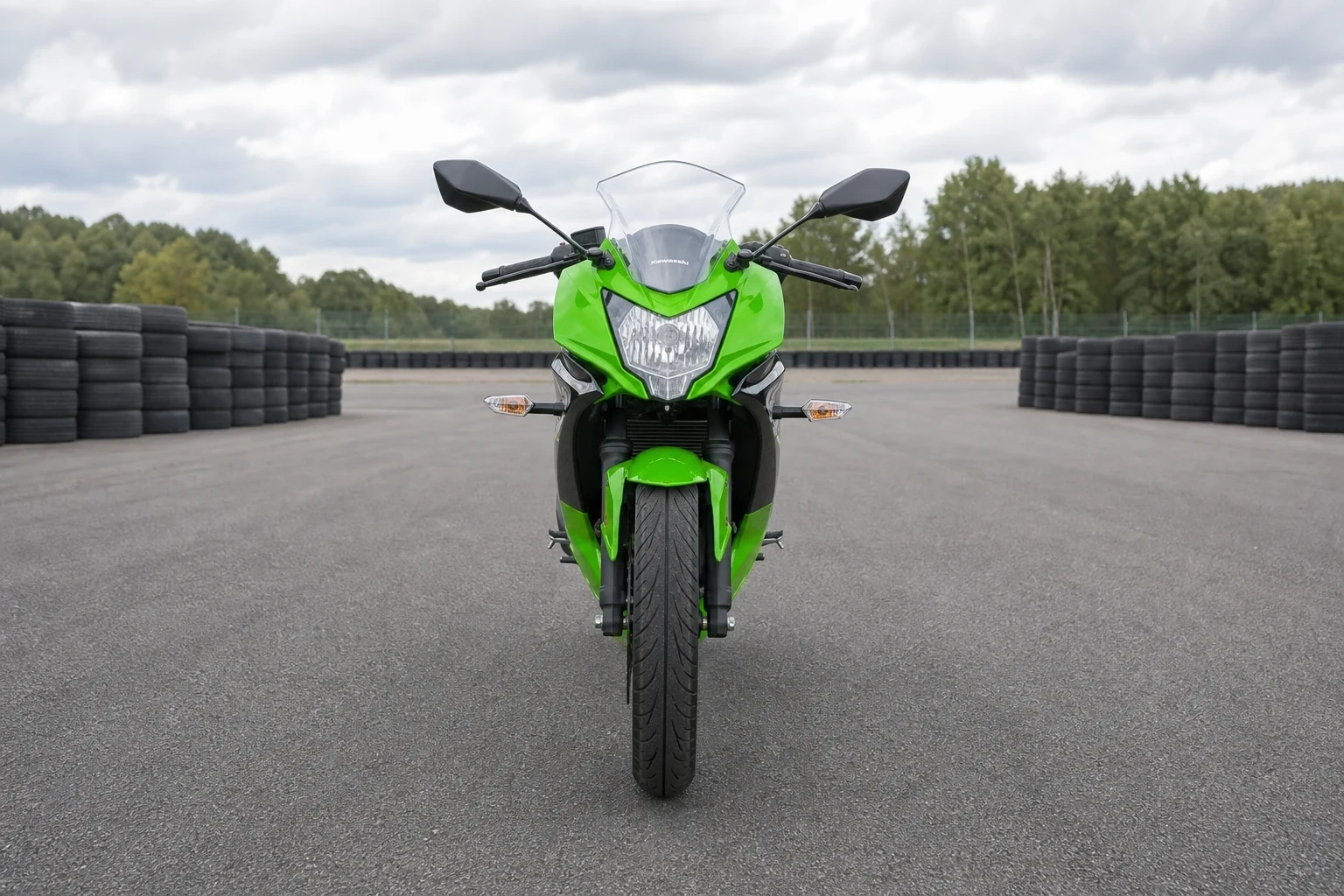 Ninja-250-SL (& -R) (mit KI erzeugt)