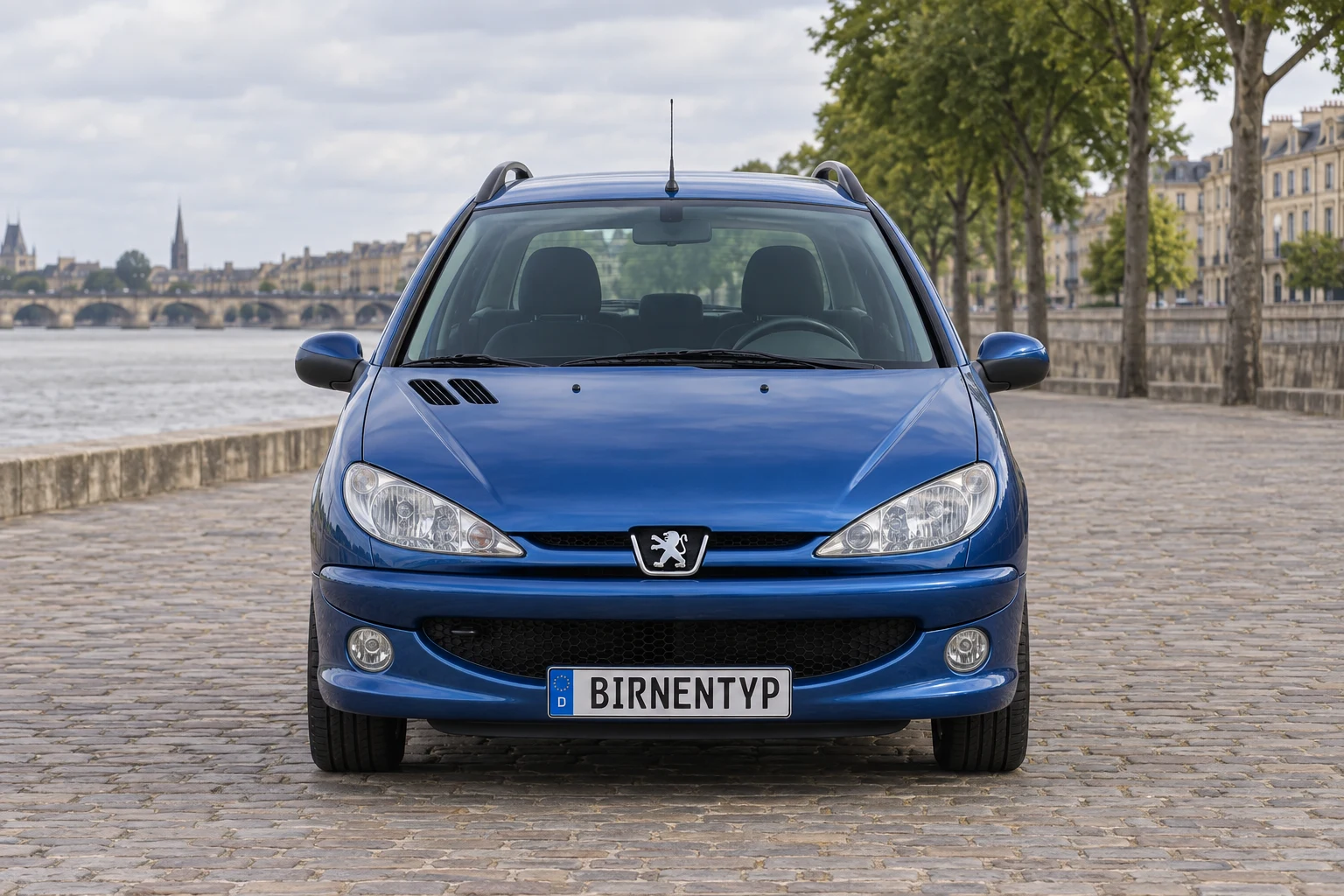 Frontansicht des Peugeot 206 1 (SW / Kombi) (mit KI erzeugt)