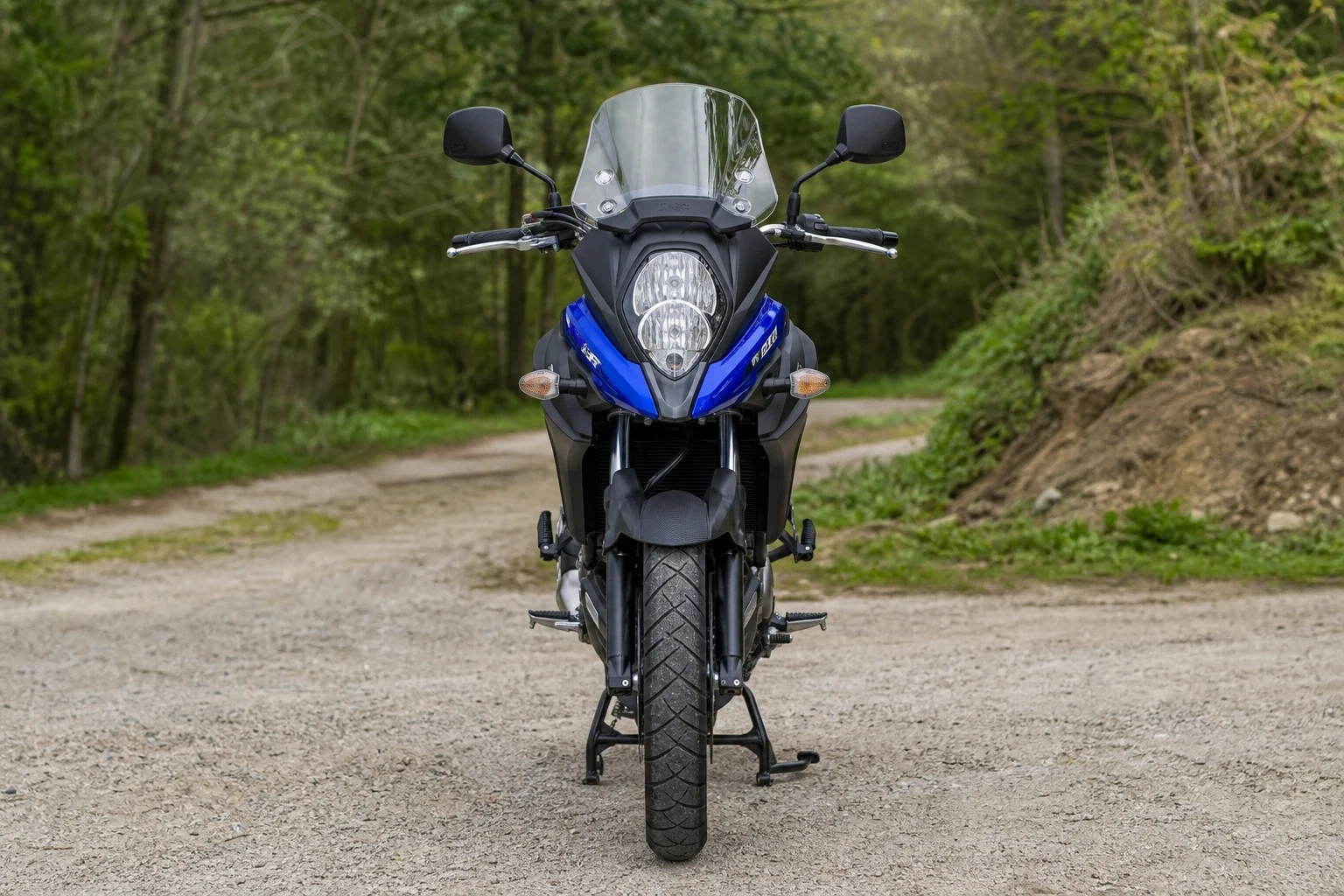 DL-1000-V-Strom Reiseenduro (mit KI erzeugt)
