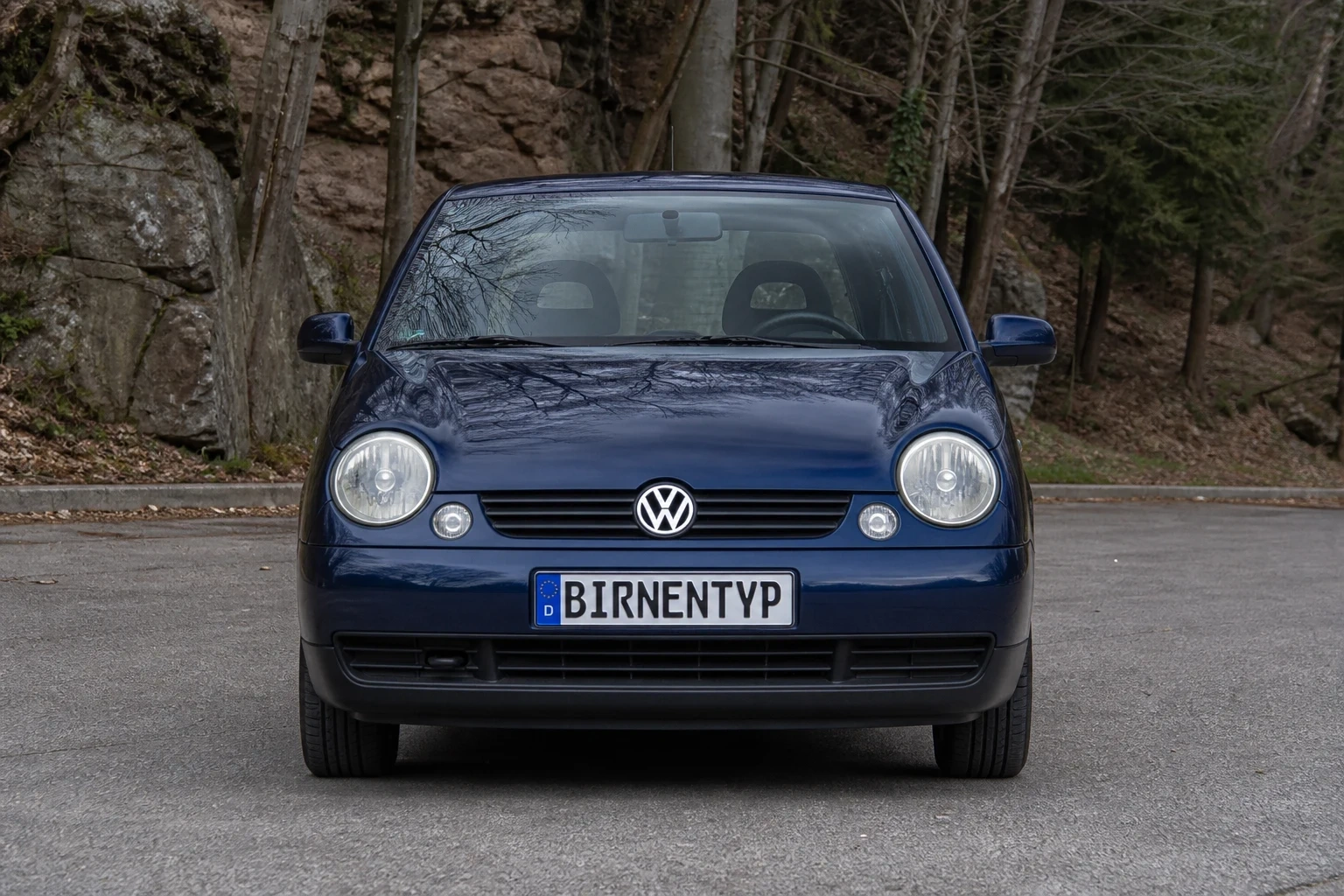 Lupo 1 (mit KI erzeugt)