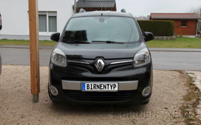 Liste mit allen Birnen für den Renault Kangoo 2. Gen. (Typ: KW0/1, Facelift, 2008_2021)