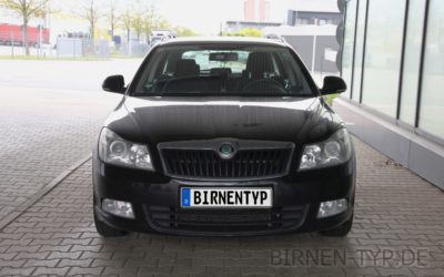 Liste mit allen Birnen für den Škoda Octavia 2. Gen. (Typ: 1Z5, vor UND nach Facelift, 2004-2013)