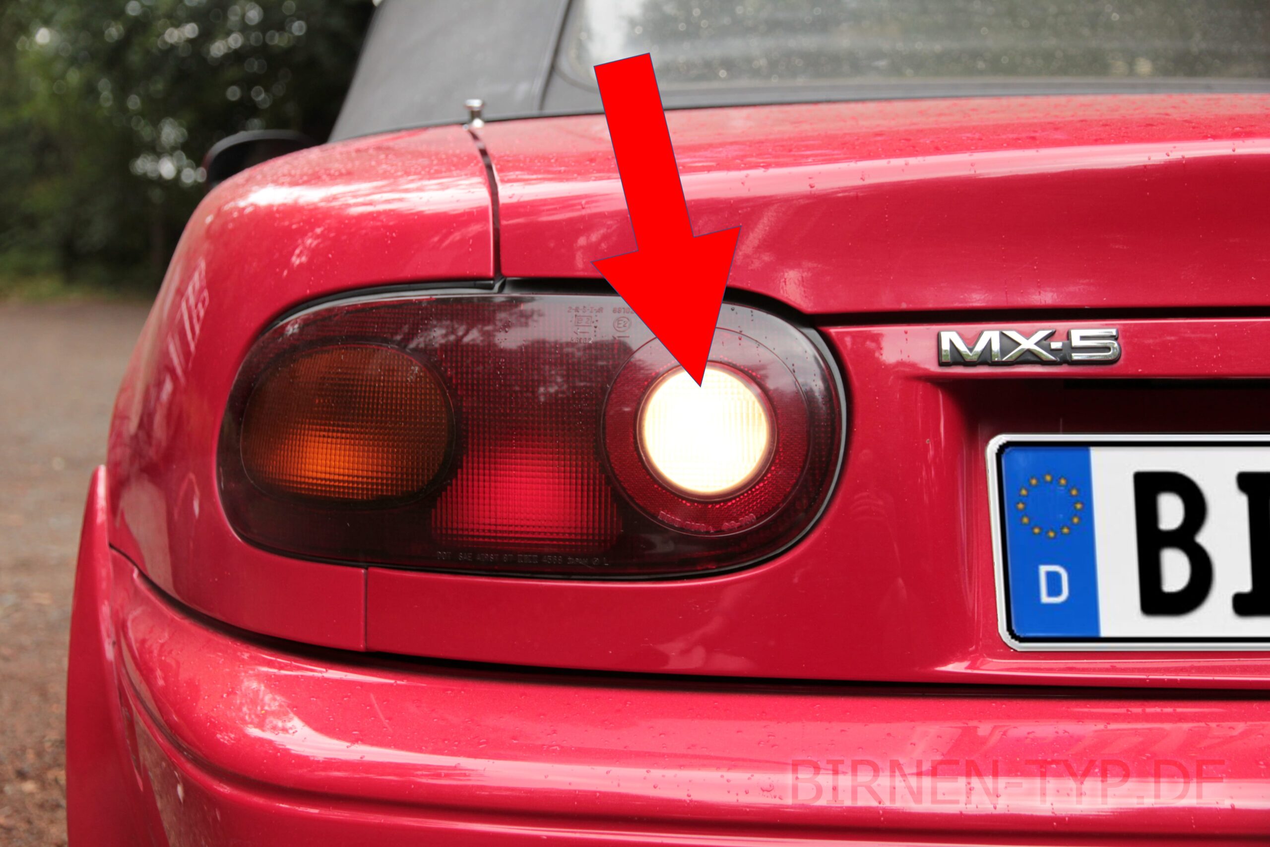 Rückfahr-Scheinwerfer-Birne hinten links oder rechts im Rücklicht des Mazda MX-5 MIata 1 geht nicht Welche ist die korrekte Birne Bild 1 P21W