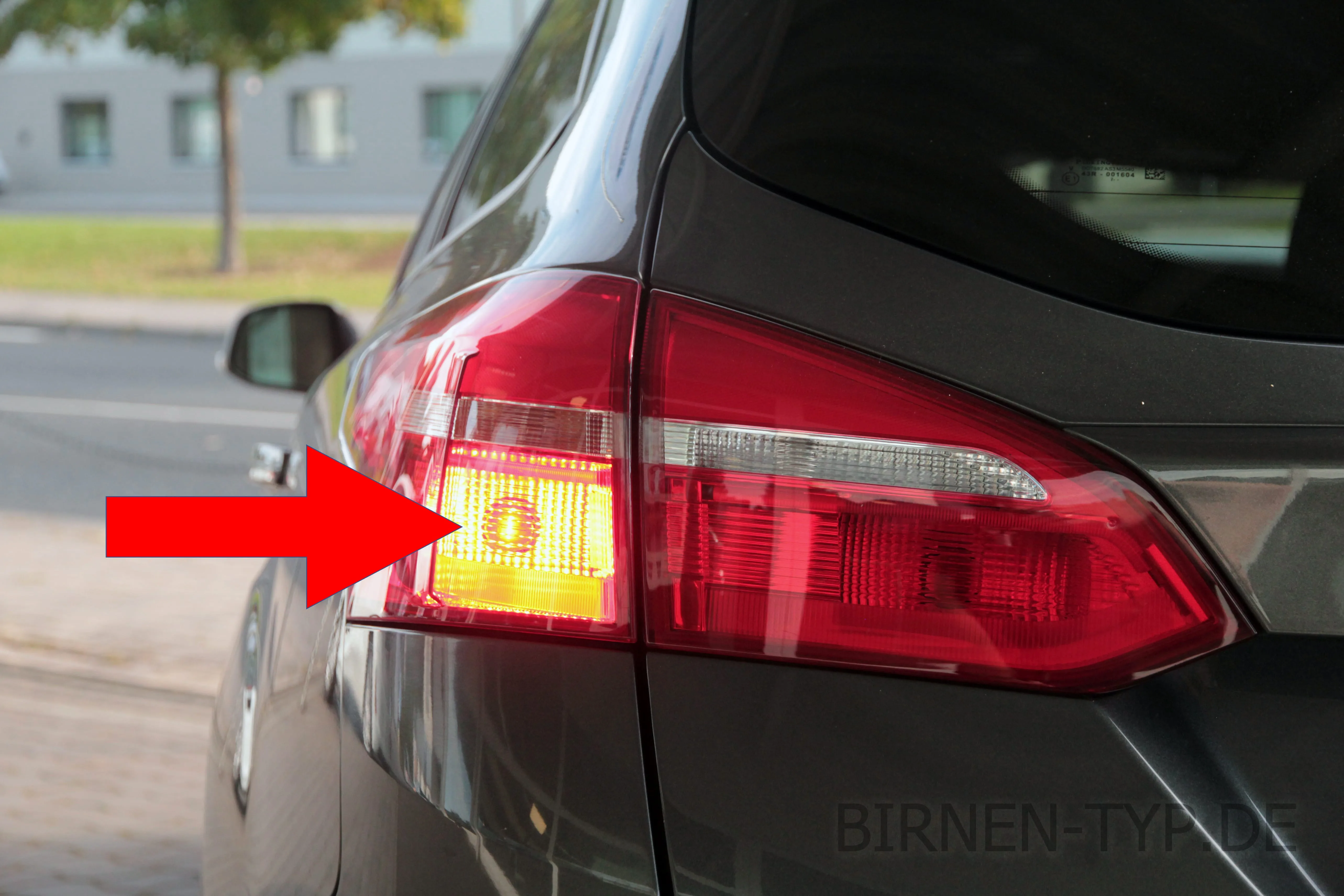 Liste mit allen Birnen für den Ford Focus MK3 ('11, 2010-2018)