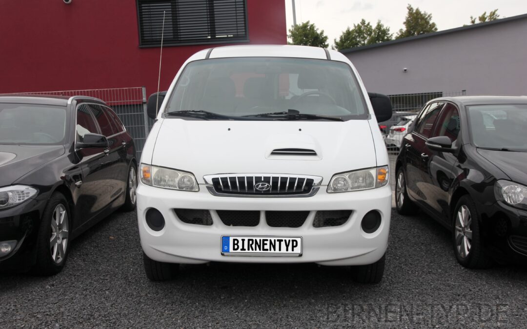 Liste mit allen Birnen für den Hyundai H-1/Starex/Libero (1. Gen., A1/KMF, 1997-2008)