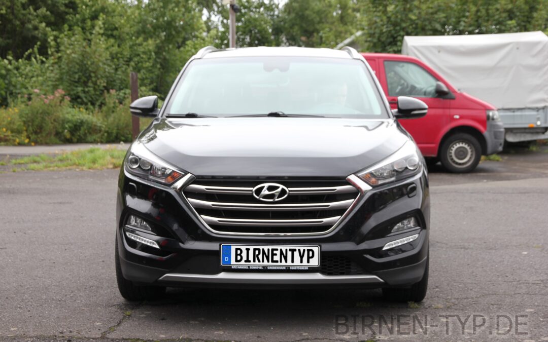 Liste mit allen Birnen für den Hyundai Tucson (3. Gen., Typ: TL, 2015-2020)