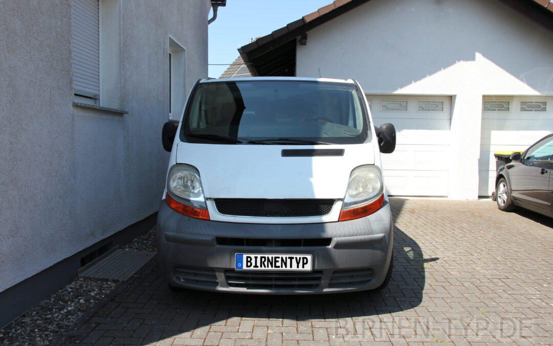 Liste mit allen Birnen für den Nissan Primastar 1 (X83, 2001-2015)