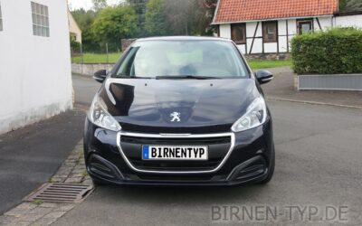 Liste mit allen Birnen für den Peugeot 208 (CA/CC, Gen. 1, 2012-2019)