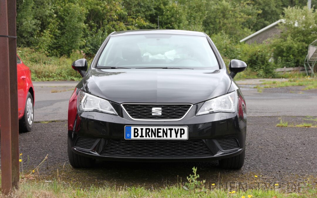 Liste mit allen Birnen für den Seat Ibiza (Typ: 6J/6P, Gen. 4, 2008-2017)