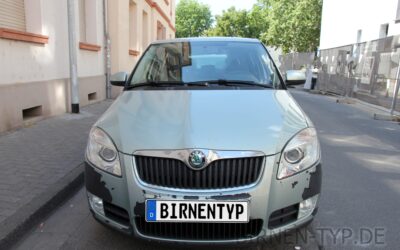 Liste mit allen Birnen für den Škoda Fabia 2 (Typ: 542/545, 2006-2014)