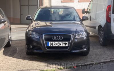 Liste mit allen Birnen für den Audi A3 2. Gen (Typ 8P – 2003-2013)