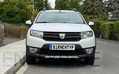 Liste mit allen Birnen für den Dacia Duster 1. Gen (Typ HS – 2010-2018)