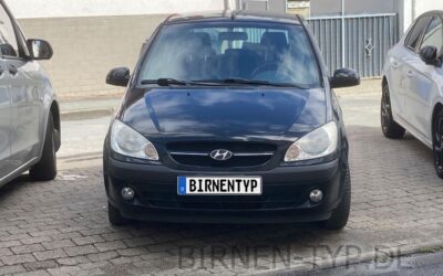 Liste mit allen Birnen für den Hyundai i10 1. Gen (Typ PA – 2007-2013)