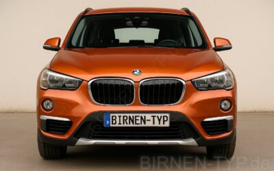Liste mit allen Birnen für den BMW X1 2. Gen (Typ F48 – 2014-2022)