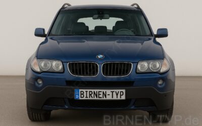 Liste mit allen Birnen für den BMW X3 1. Gen (Typ E83 – 2003-2011)