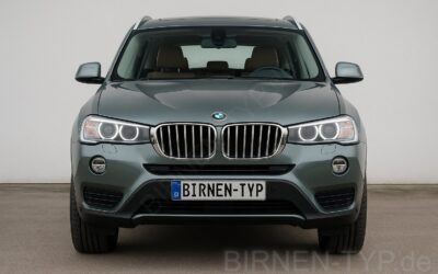 Liste mit allen Birnen für den BMW X3 2. Gen (Typ F25 – 2010-2017)
