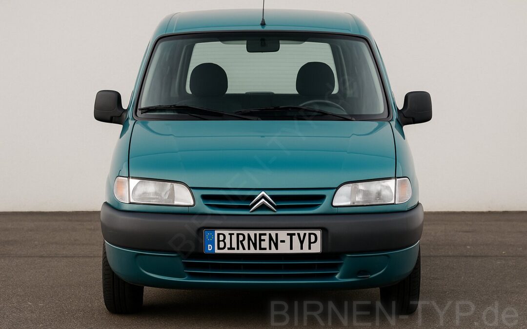 Liste mit allen Birnen für den Citroën Berlingo 1. Gen (Typ MF, GJK, GFK – 1996-2008)